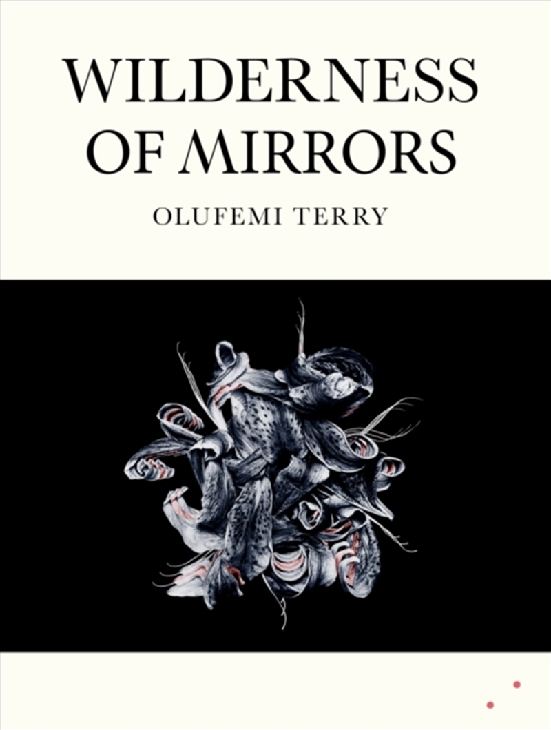 Wilderness of Mirrors/Product Detail/General Fiction Books