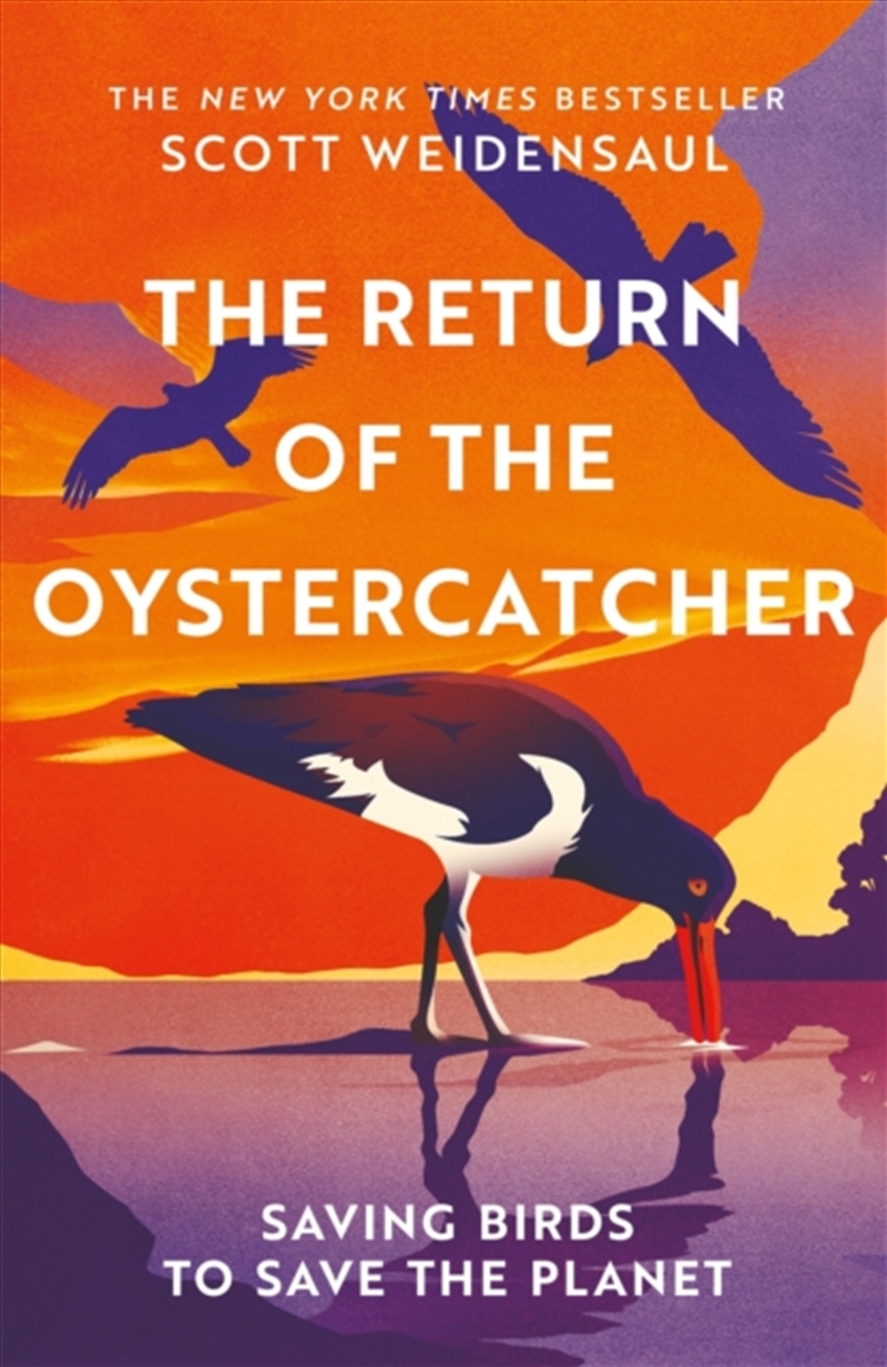 The Return of the Oystercatcher : Saving Birds to Save the Planet/Product Detail/Animals & Nature