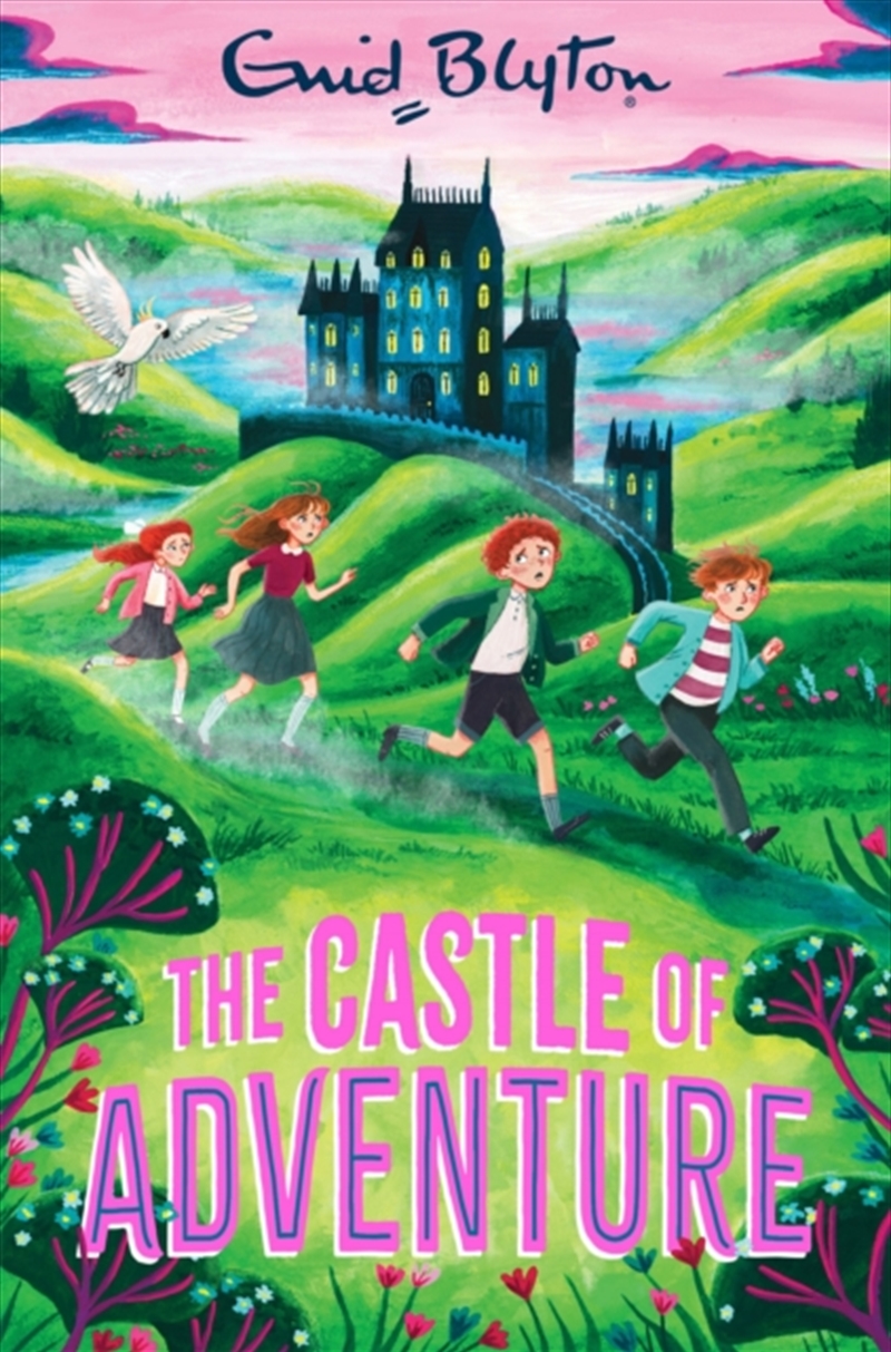 The Castle of Adventure/Product Detail/Childrens Fiction Books