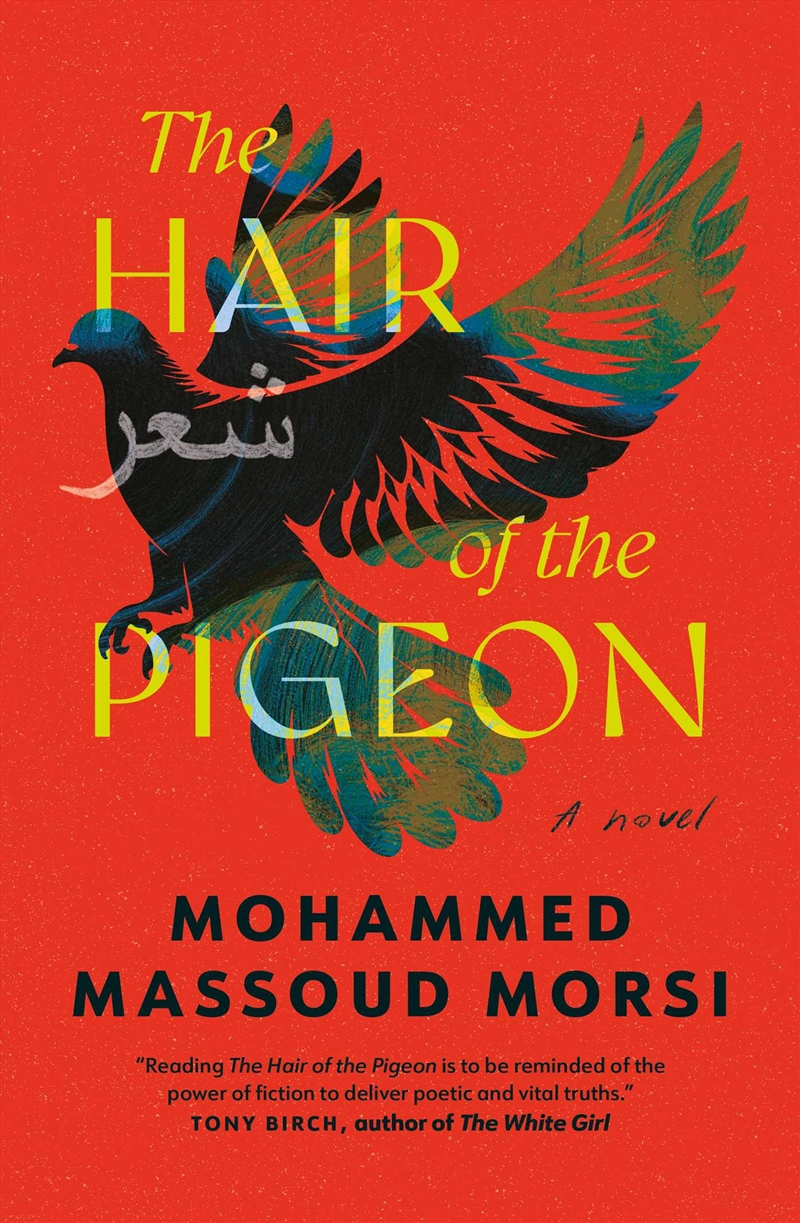 The Hair Of The Pigeon/Product Detail/Modern & Contemporary