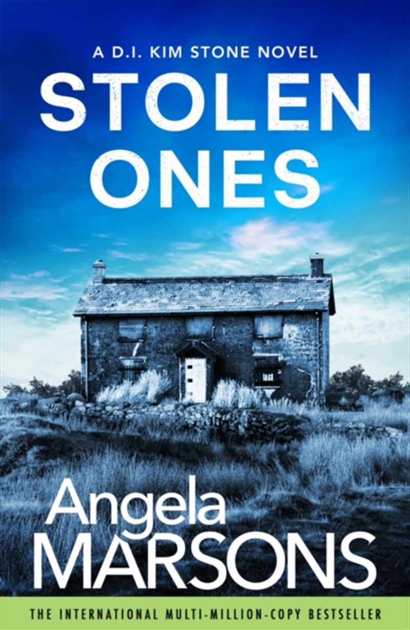 Stolen Ones/Product Detail/Thrillers & Horror Books