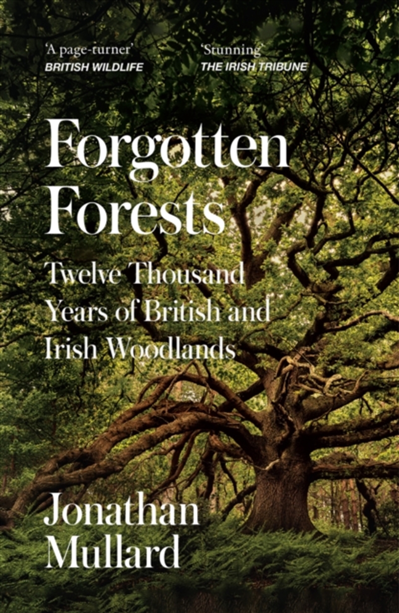 Forgotten Forests : Twelve Thousand Years of British and Irish Woodlands/Product Detail/Animals & Nature