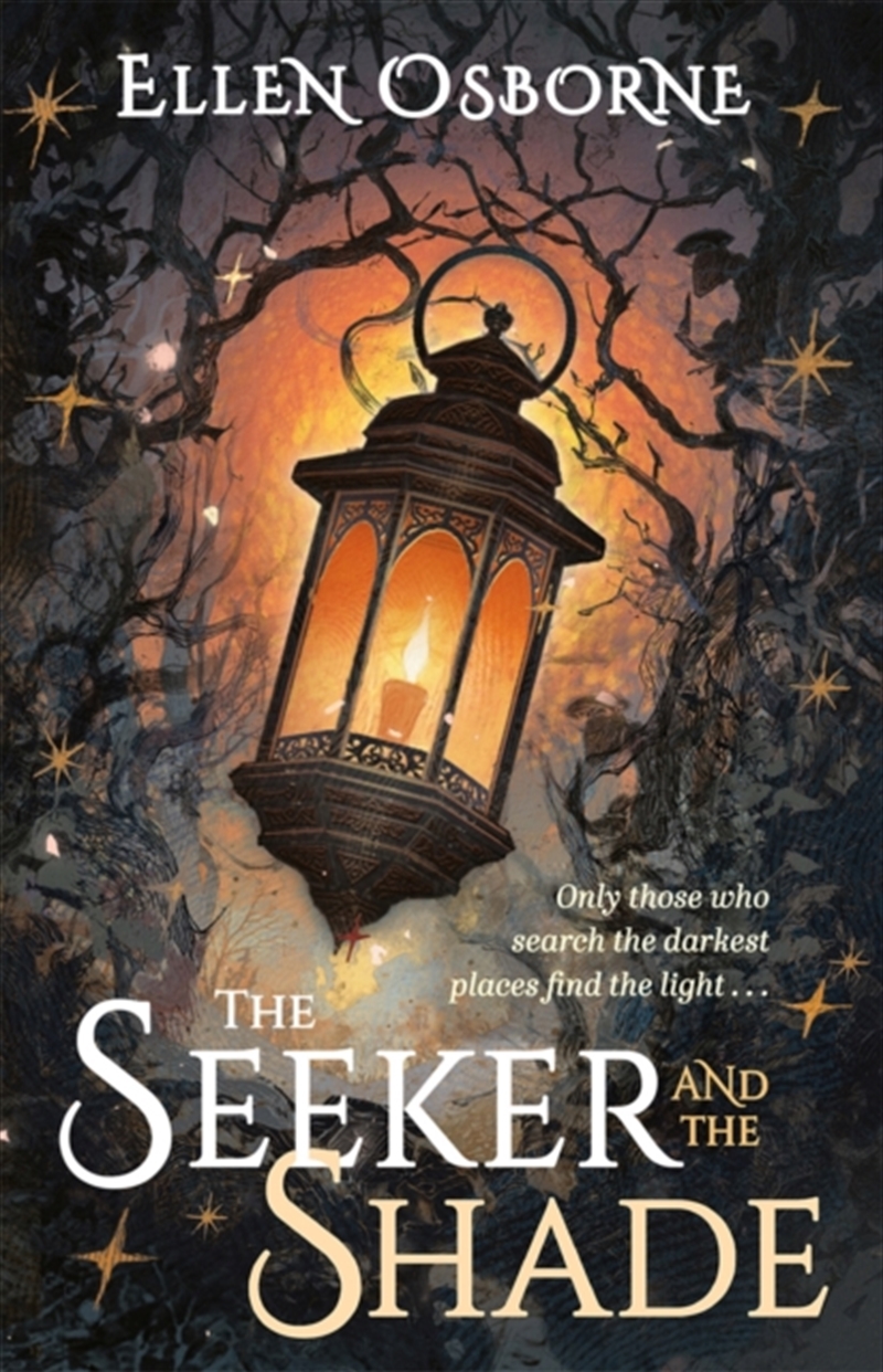 The Seeker and the Shade/Product Detail/Young Adult Fiction