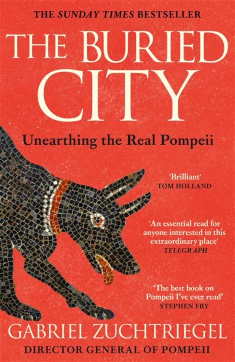 The Buried City : The Revelatory New History from the Director of Pompeii - a Sunday Times Bestselle/Product Detail/History