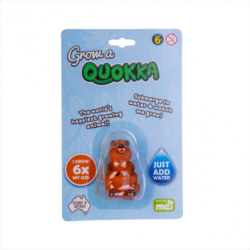 Grow A Quokka/Product Detail/Novelty & Gifts