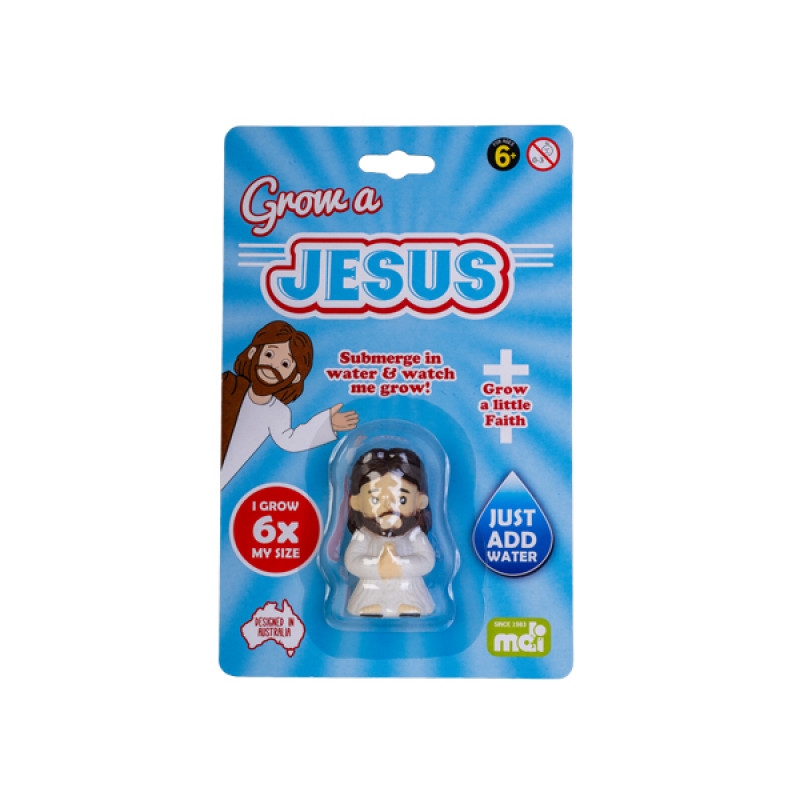 Grow A Jesus/Product Detail/Novelty & Gifts