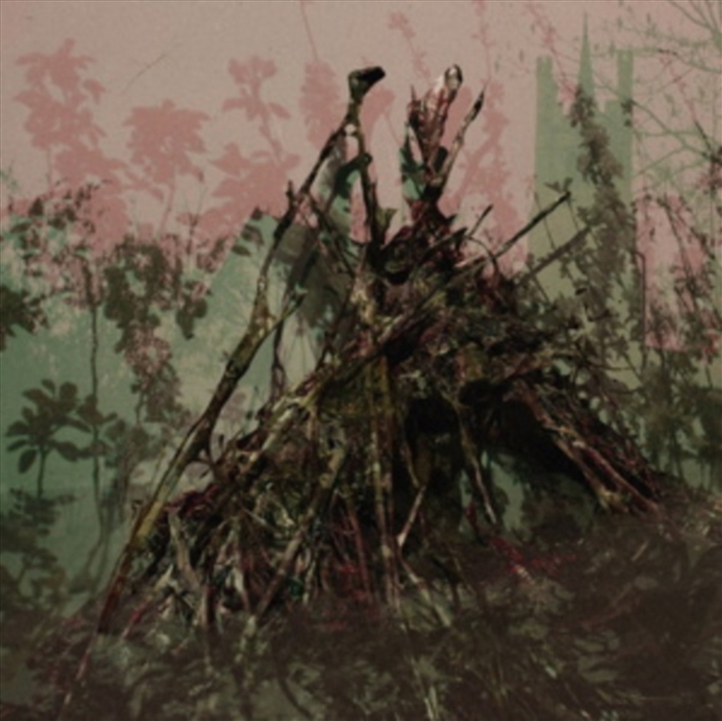 Acid Heath/Product Detail/Dance