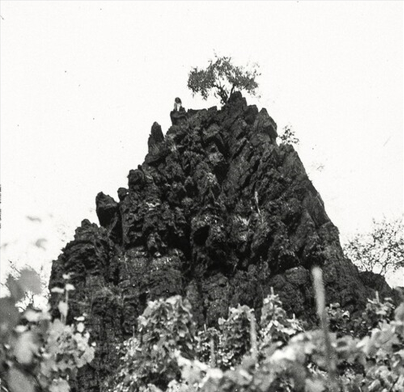 Winterswell/Product Detail/Dance