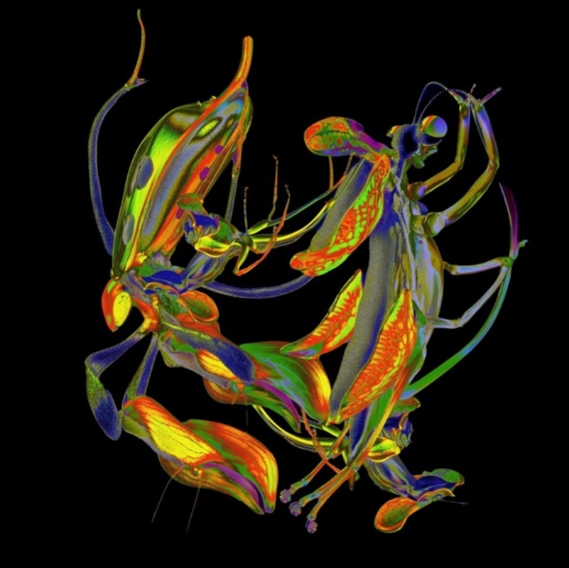 Sho/Product Detail/Dance