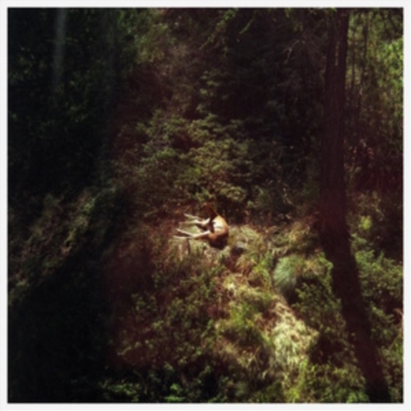 Sings Again/Product Detail/Rock/Pop