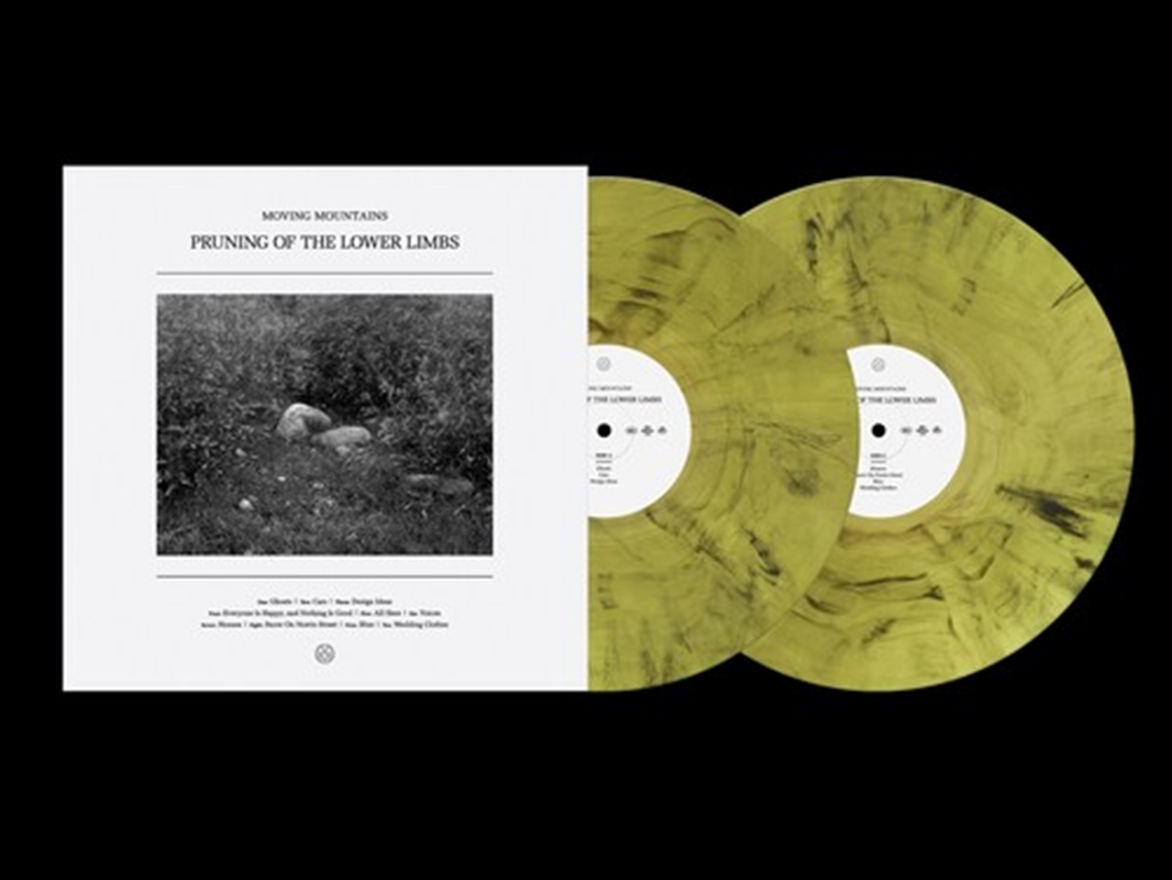 Pruning of the Lower Limbs - Smoke Vinyl/Product Detail/Rock/Pop