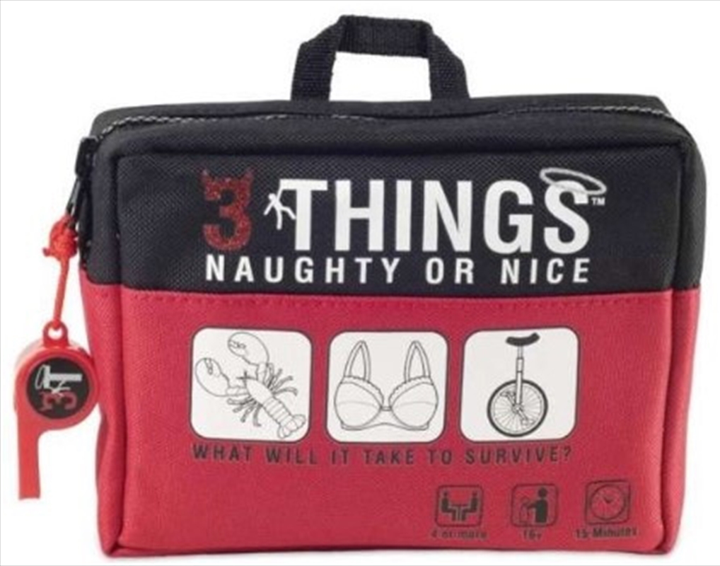 3 Things Naughty Or Nice Edition/Product Detail/Board Games
