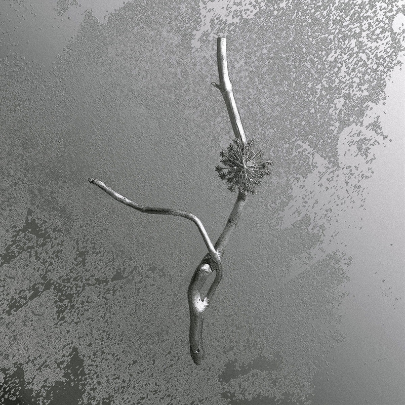 La Maccaia/Product Detail/Rock/Pop