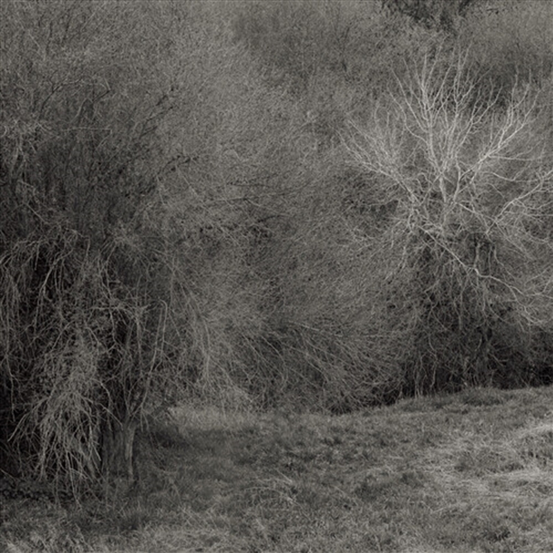 Atrophies For Piano - White Vi/Product Detail/Rock/Pop