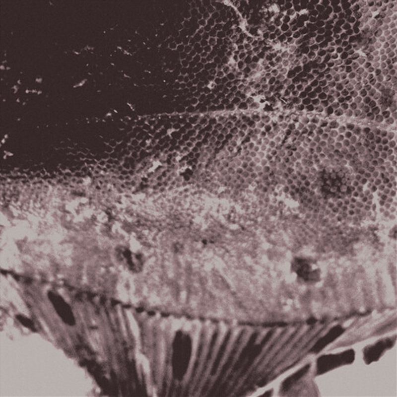 Flounder Maps/Product Detail/Dance