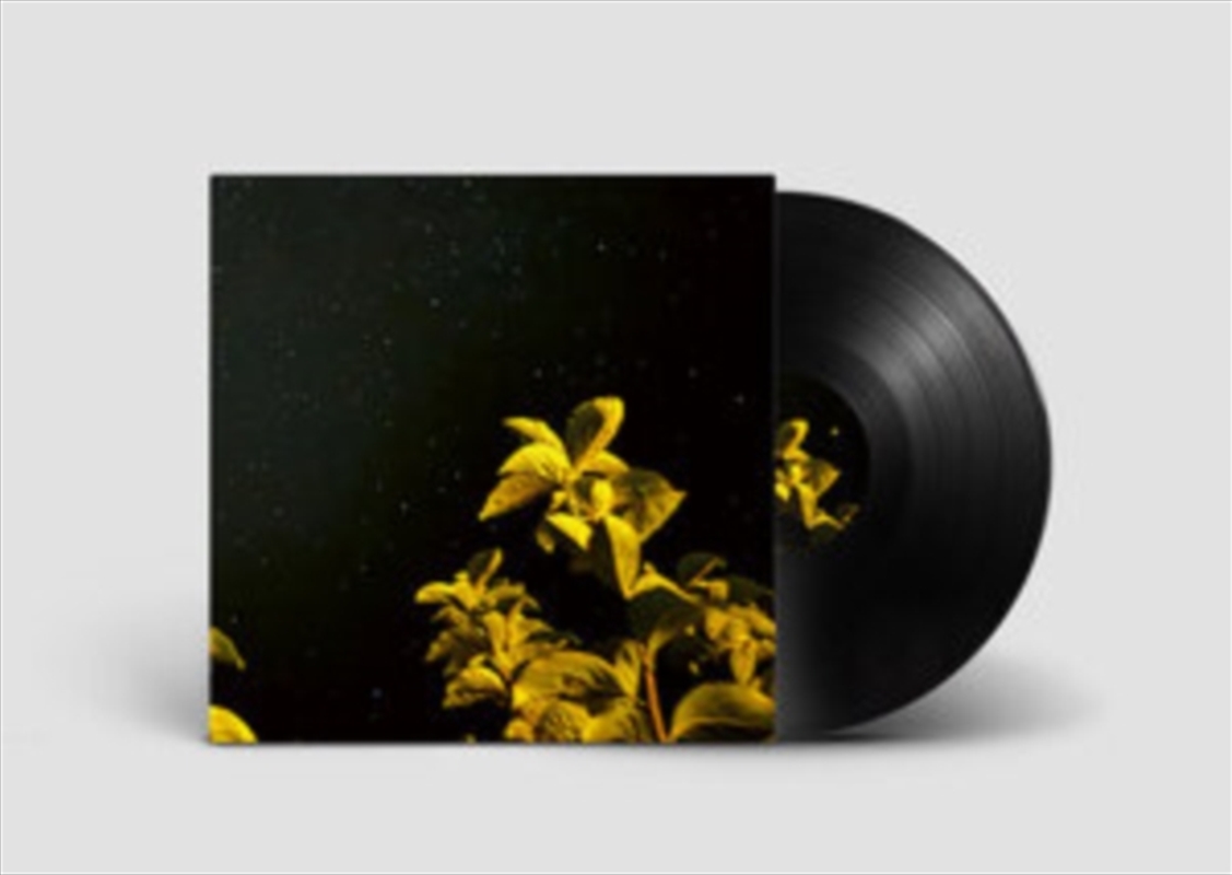 Changing Bodies/Product Detail/Alternative