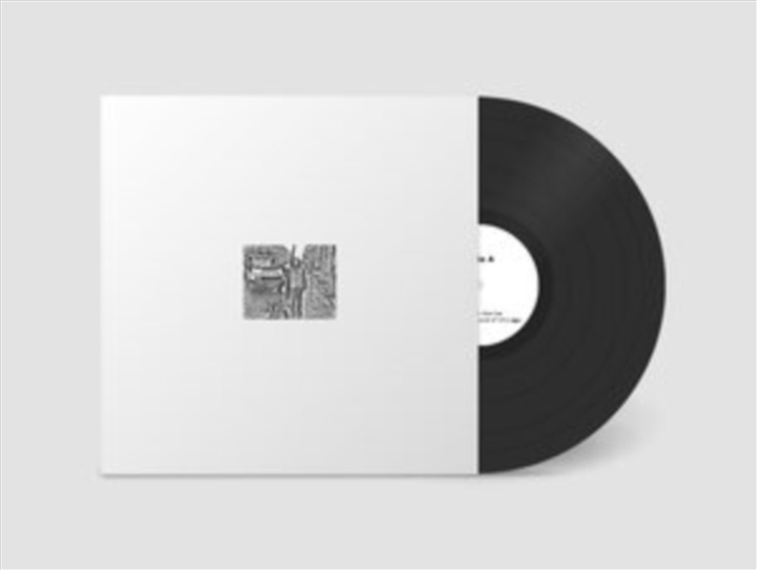 Still House Plants/Product Detail/Alternative