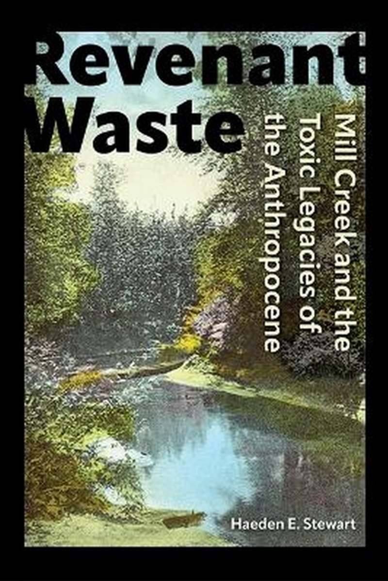 Revenant Waste/Product Detail/History