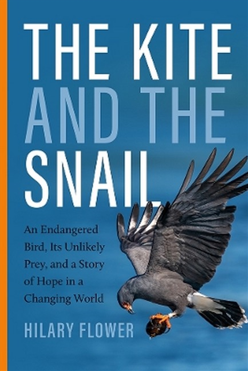 The Kite and the Snail/Product Detail/Animals & Nature
