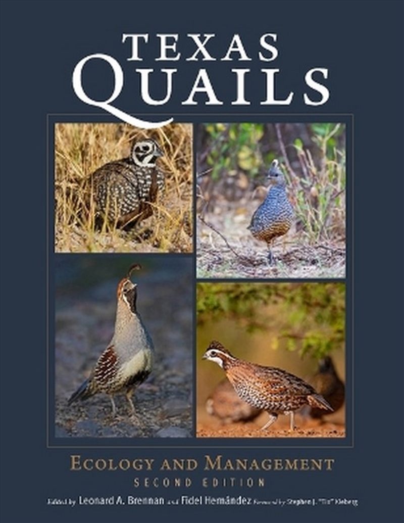 Texas Quails/Product Detail/Animals & Nature