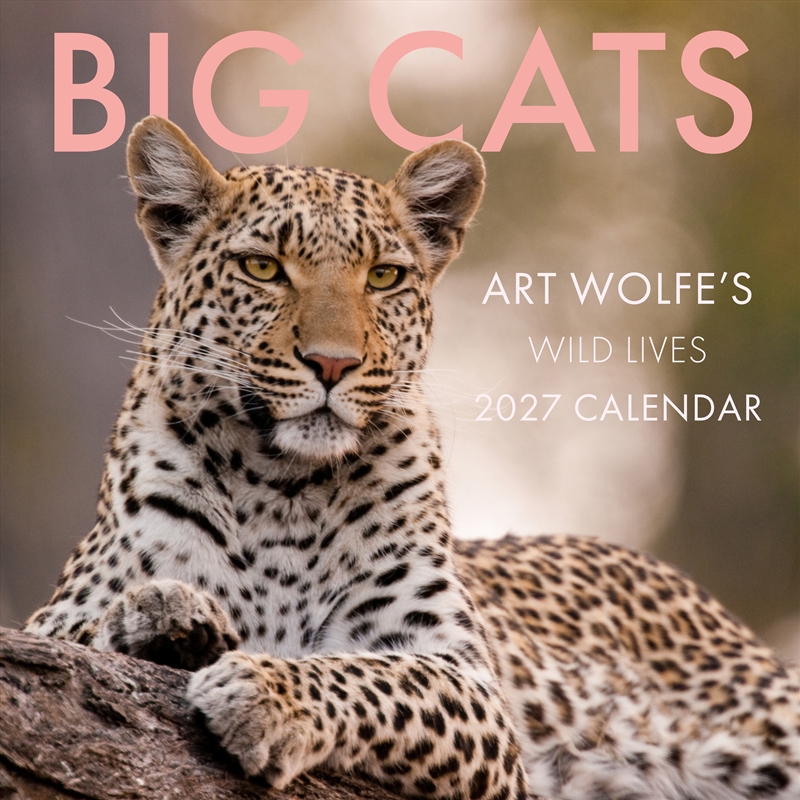 2027 Big Cats Wall Calendar/Product Detail/Animals & Nature