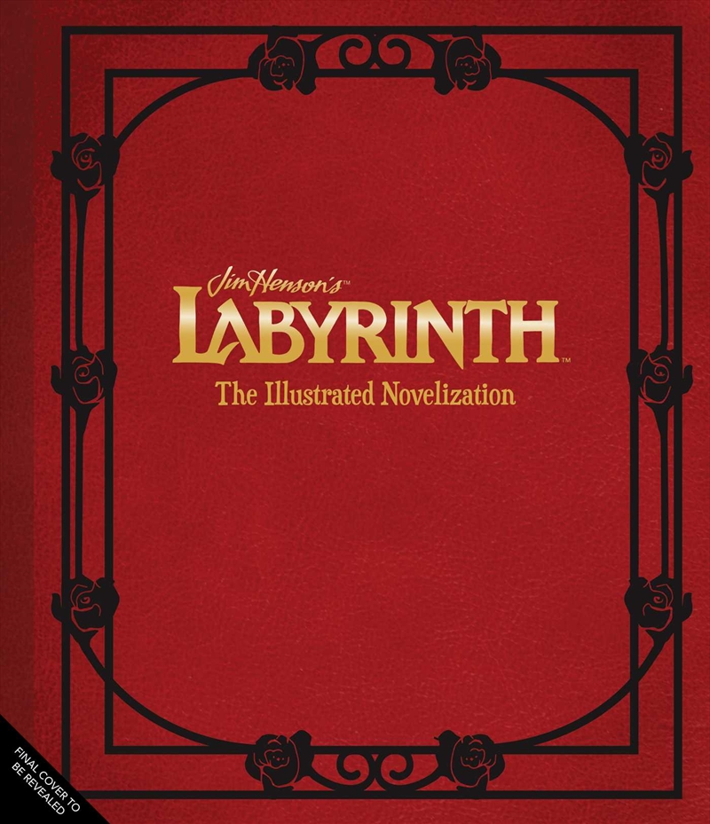Jim Henson's Labyrinth: The Illustrated Novelization/Product Detail/Childrens Fiction Books