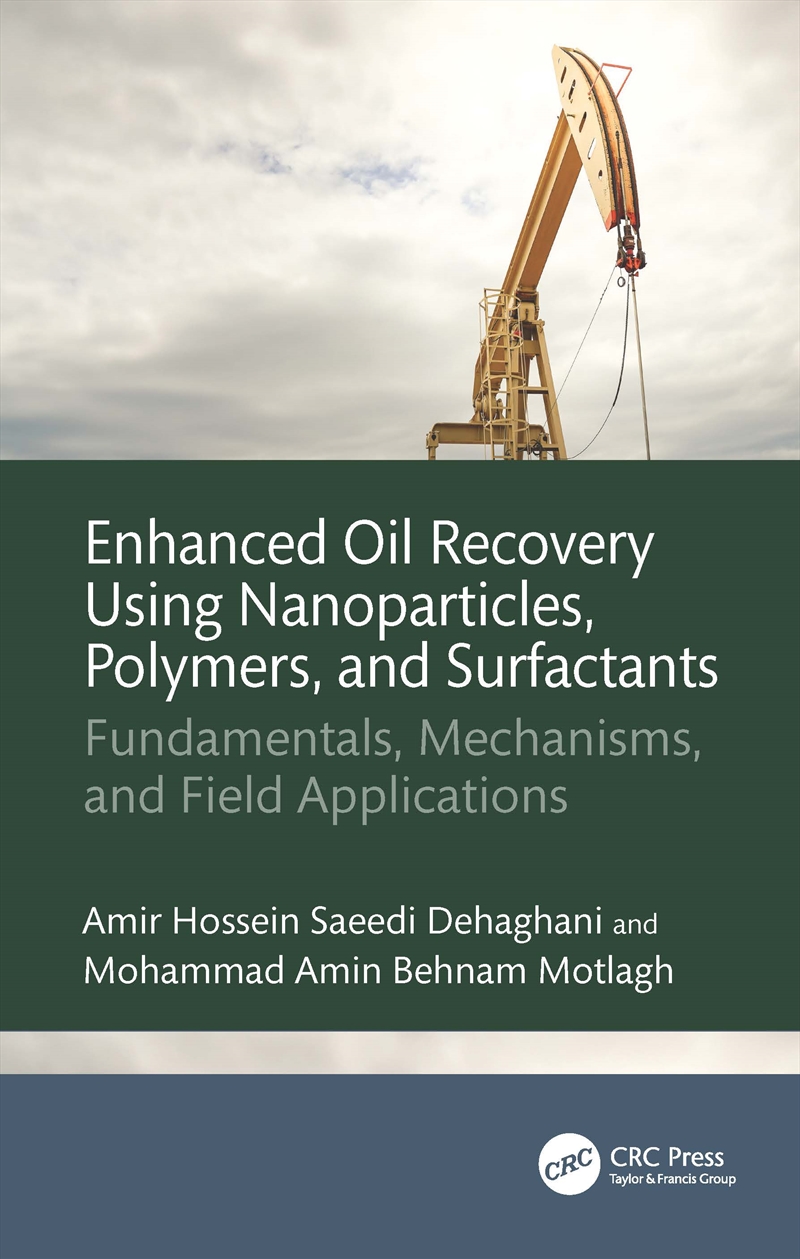 Enhanced Oil Recovery Using Nanoparticles, Polymers, and Surfactants/Product Detail/Business Leadership & Management