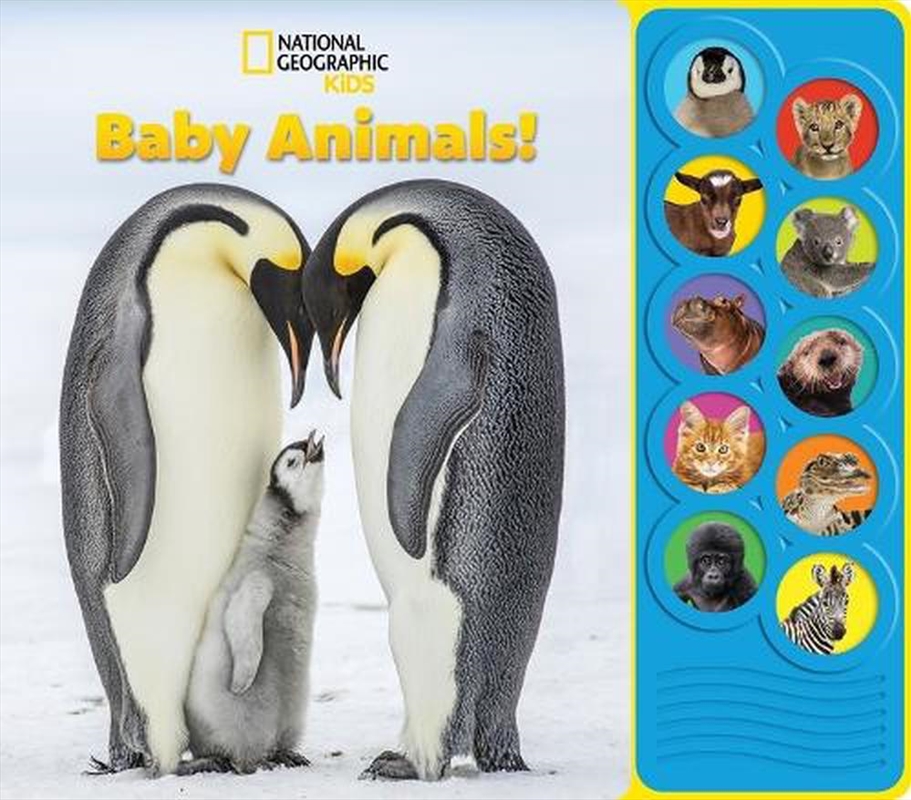 National Geographic Kids: Baby Animals! Sound Book/Product Detail/Early Childhood Fiction Books
