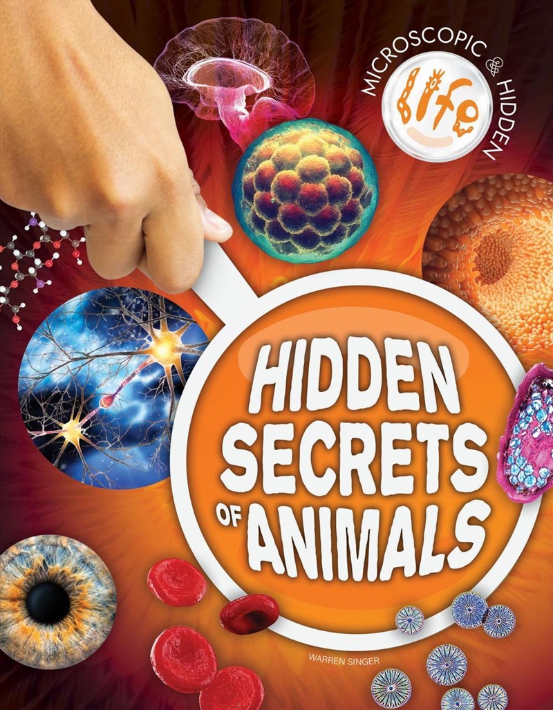 Hidden Secrets of Animals/Product Detail/Childrens