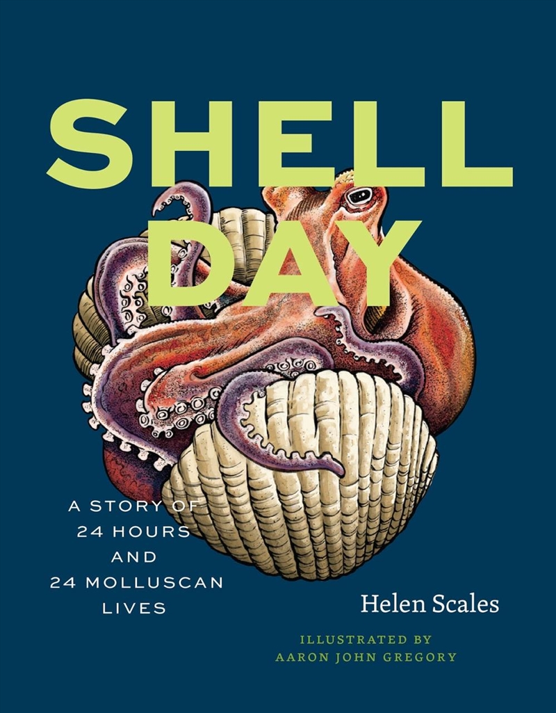 Shell Day : A Story of 24 Hours and 24 Molluscan Lives/Product Detail/Animals & Nature