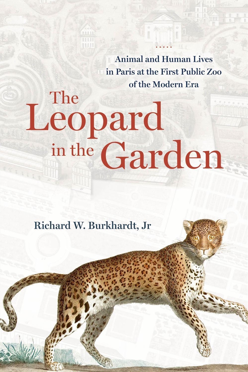 The Leopard in the Garden : Animal and Human Lives in Paris at the First Public Zoo of the Modern Er/Product Detail/Animals & Nature
