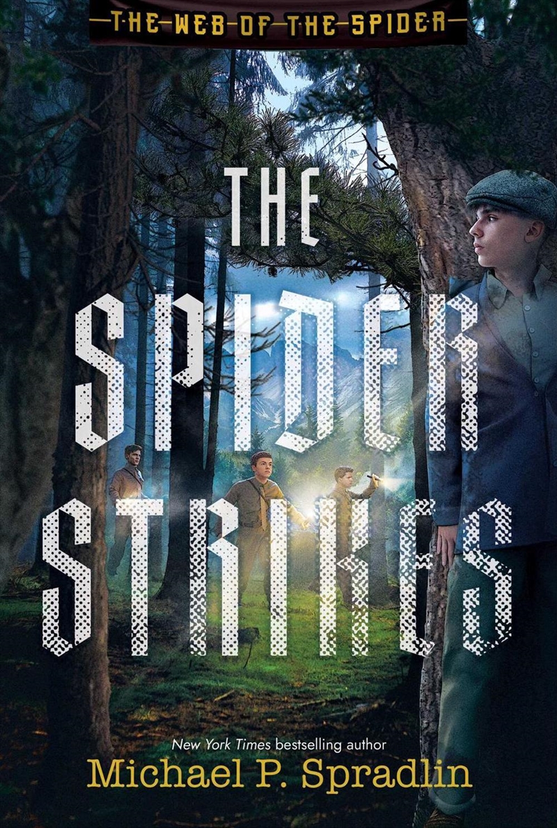The Spider Strikes/Product Detail/Childrens Fiction Books