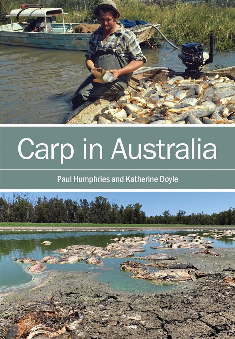 Carp In Australia/Product Detail/Animals & Nature