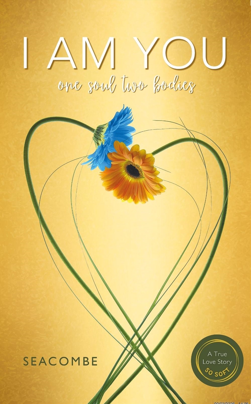 I AM YOU : One soul two bodies. A Twin-Flame Reunion/Product Detail/Family & Health