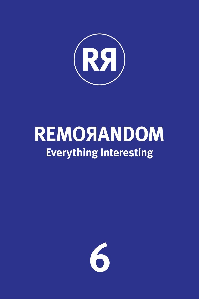 REMORANDOM, Everything Interesting 6/Product Detail/Reference & Encylopaedias