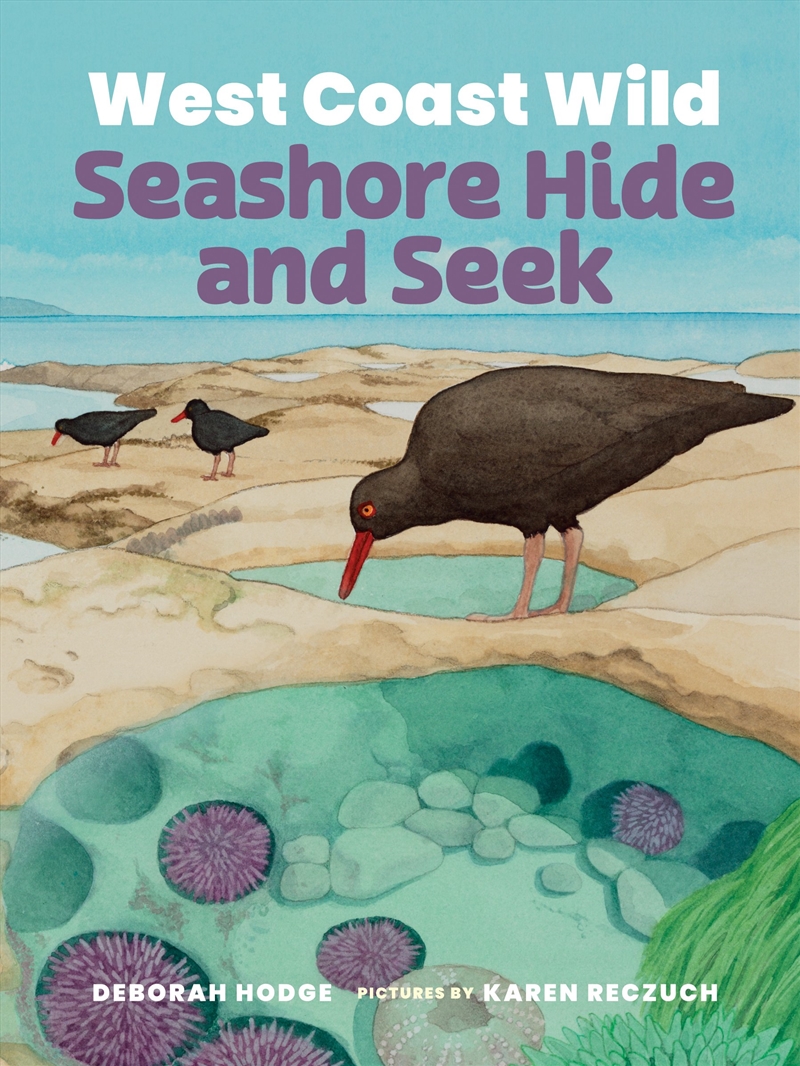 West Coast Wild Seashore Hide and Seek/Product Detail/Early Childhood Fiction Books