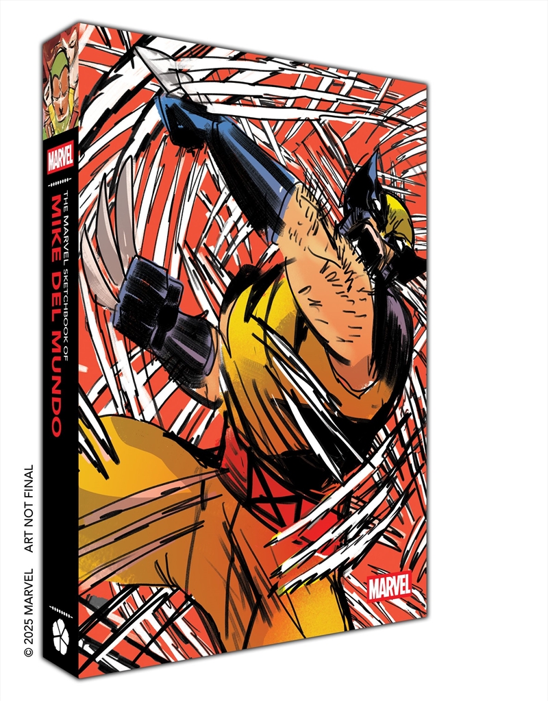 THE MARVEL SKETCHBOOK OF MIKE DEL MUNDO/Product Detail/Graphic Novels