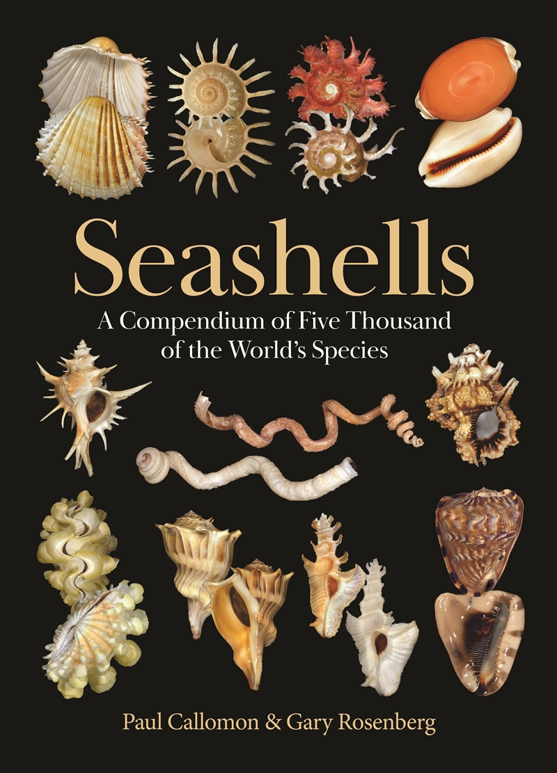 Seashells/Product Detail/Animals & Nature