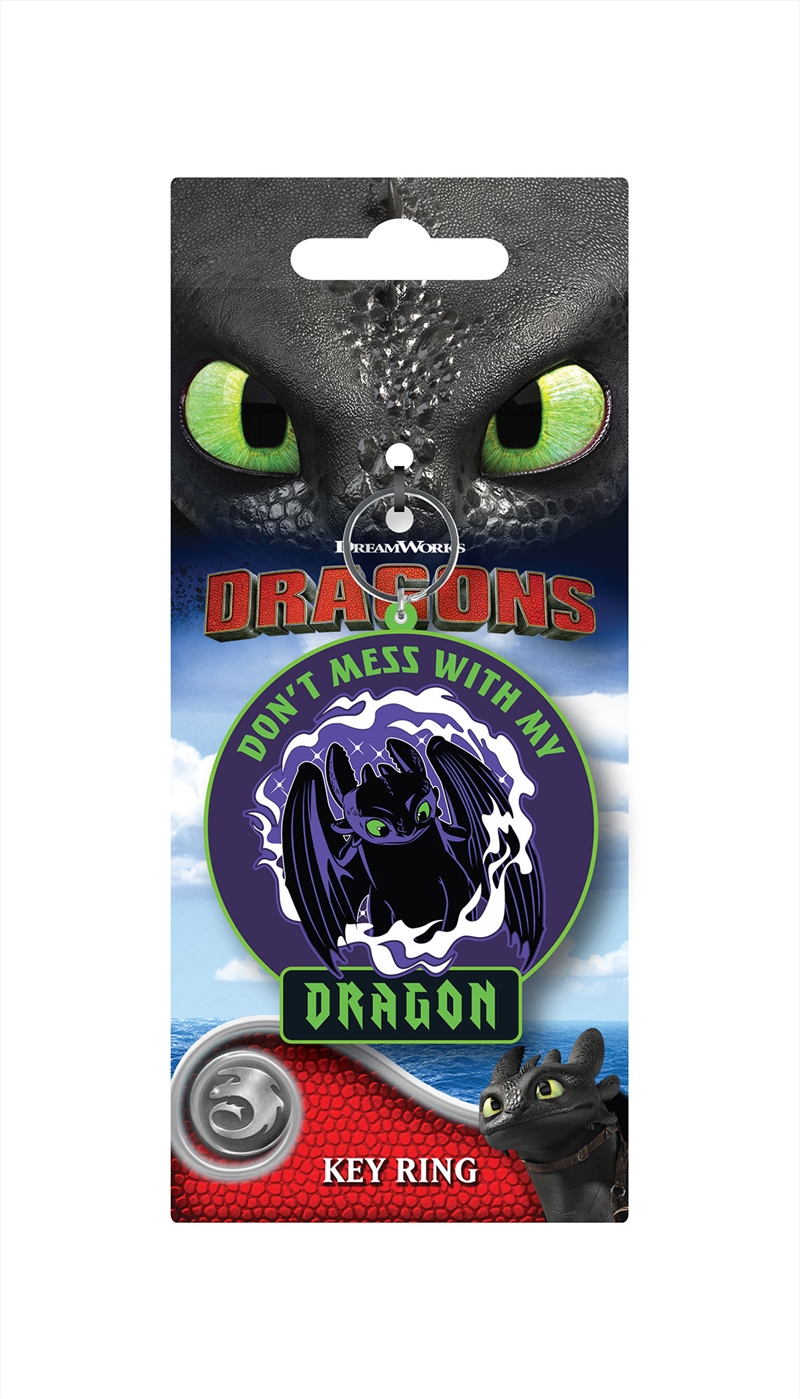 How to Train Your Dragon - Dont Mess - Moulded Keyring/Product Detail/Keyrings