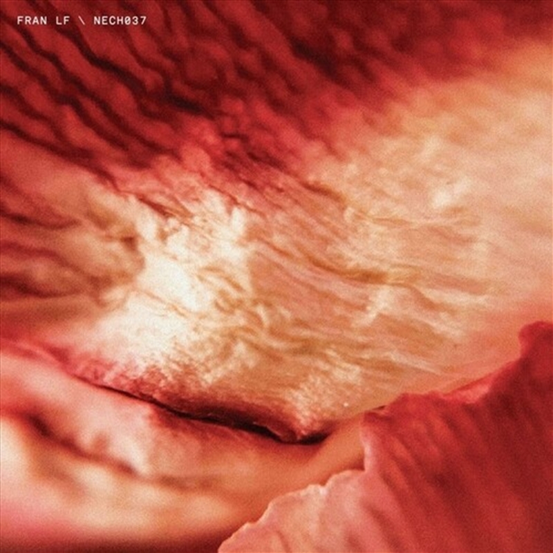 Tech037/Product Detail/Dance