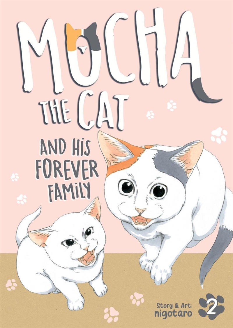 Mocha the Cat and His Forever Family Vol. 2/Product Detail/Graphic Novels