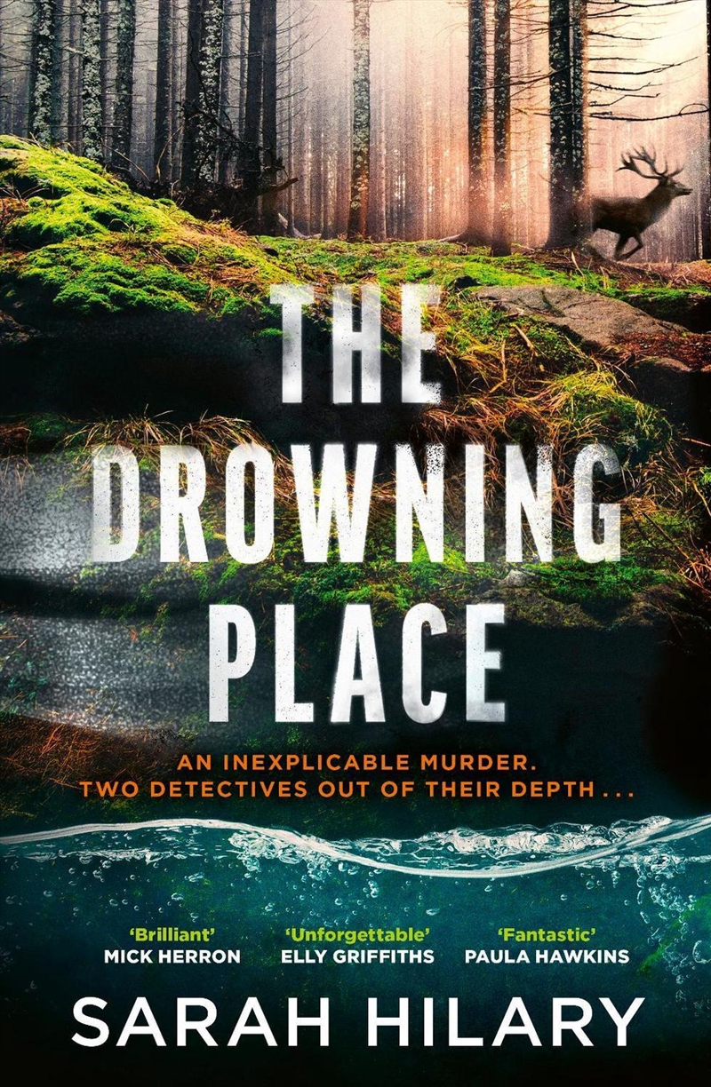 The Drowning Place/Product Detail/Crime & Mystery Fiction