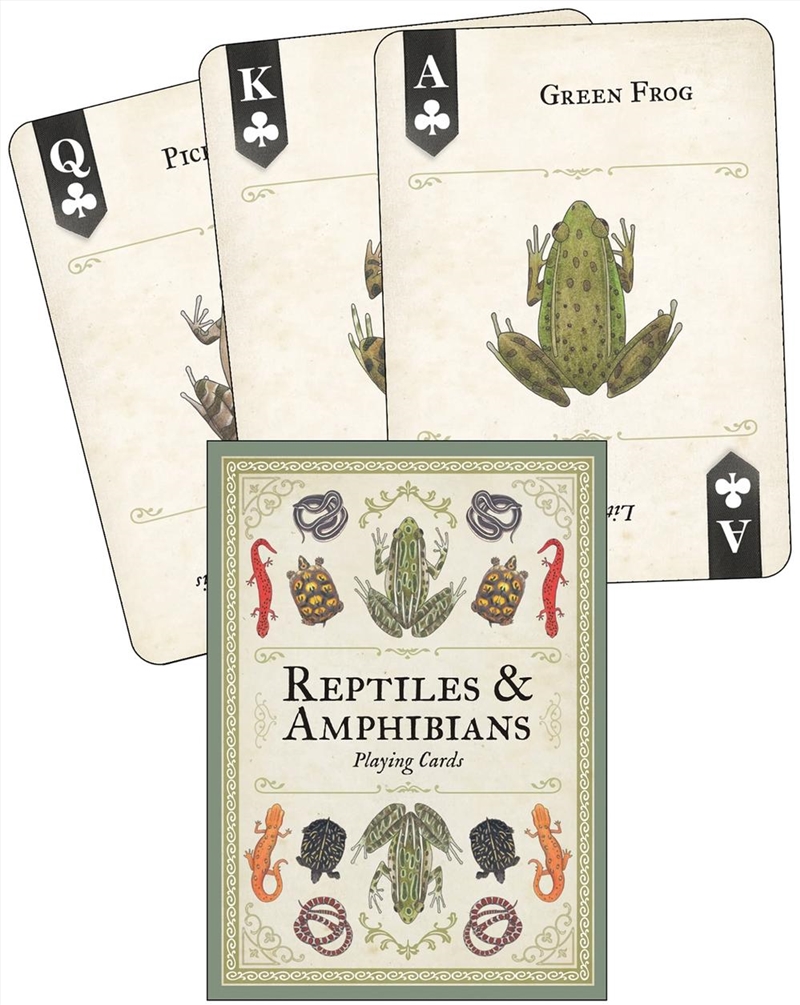 Reptiles and Amphibians Playing Cards/Product Detail/Art