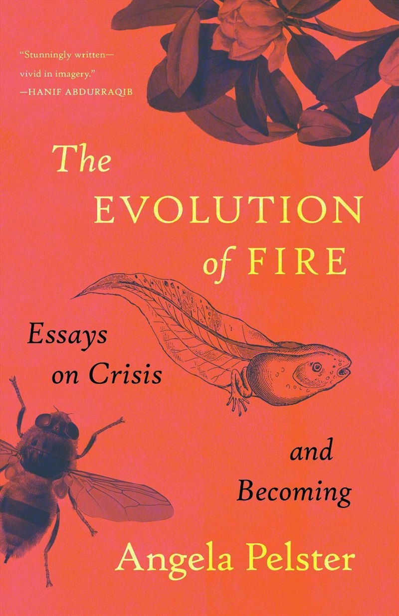 The Evolution of Fire/Product Detail/Reading