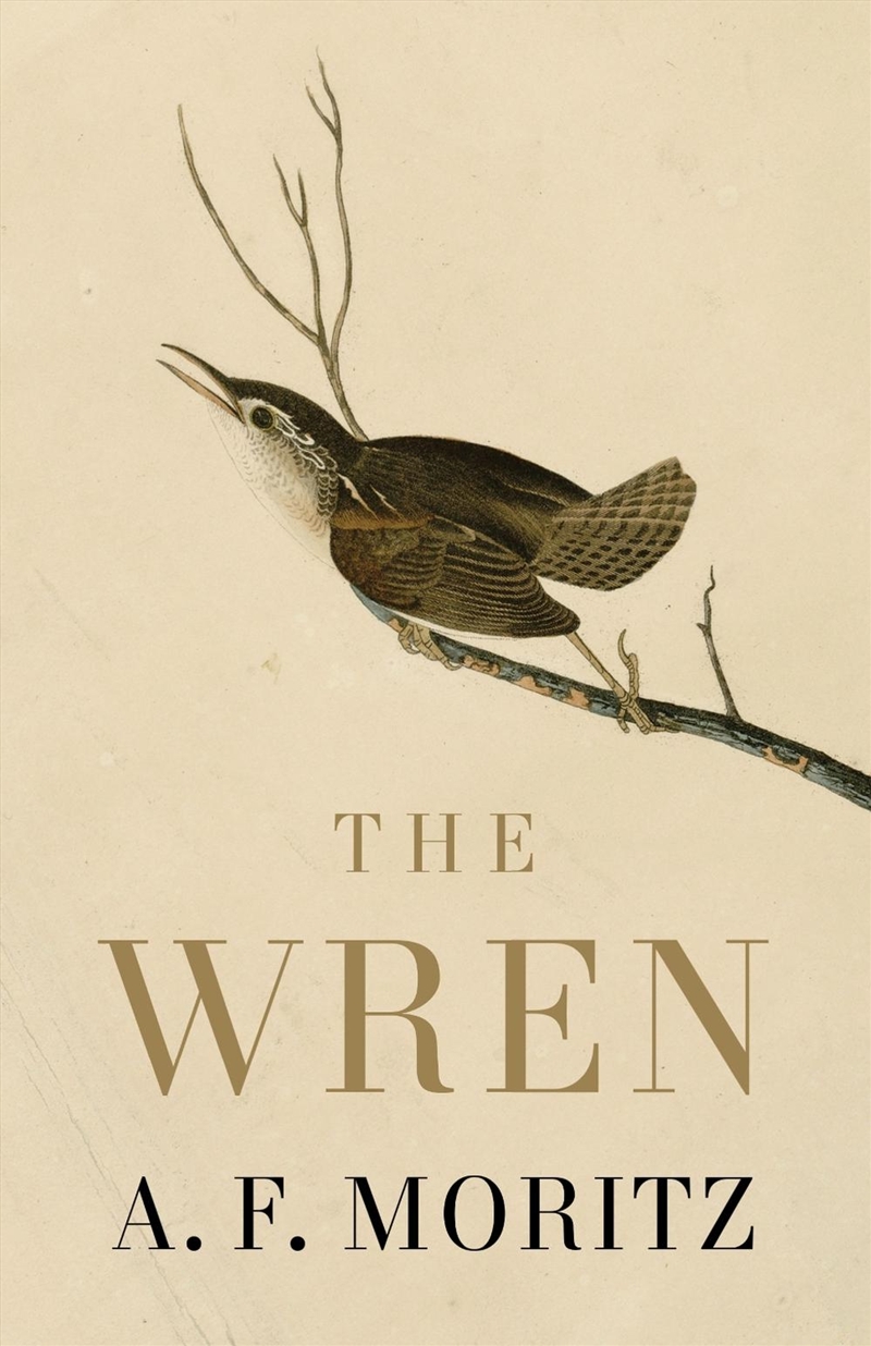 The Wren/Product Detail/Reading
