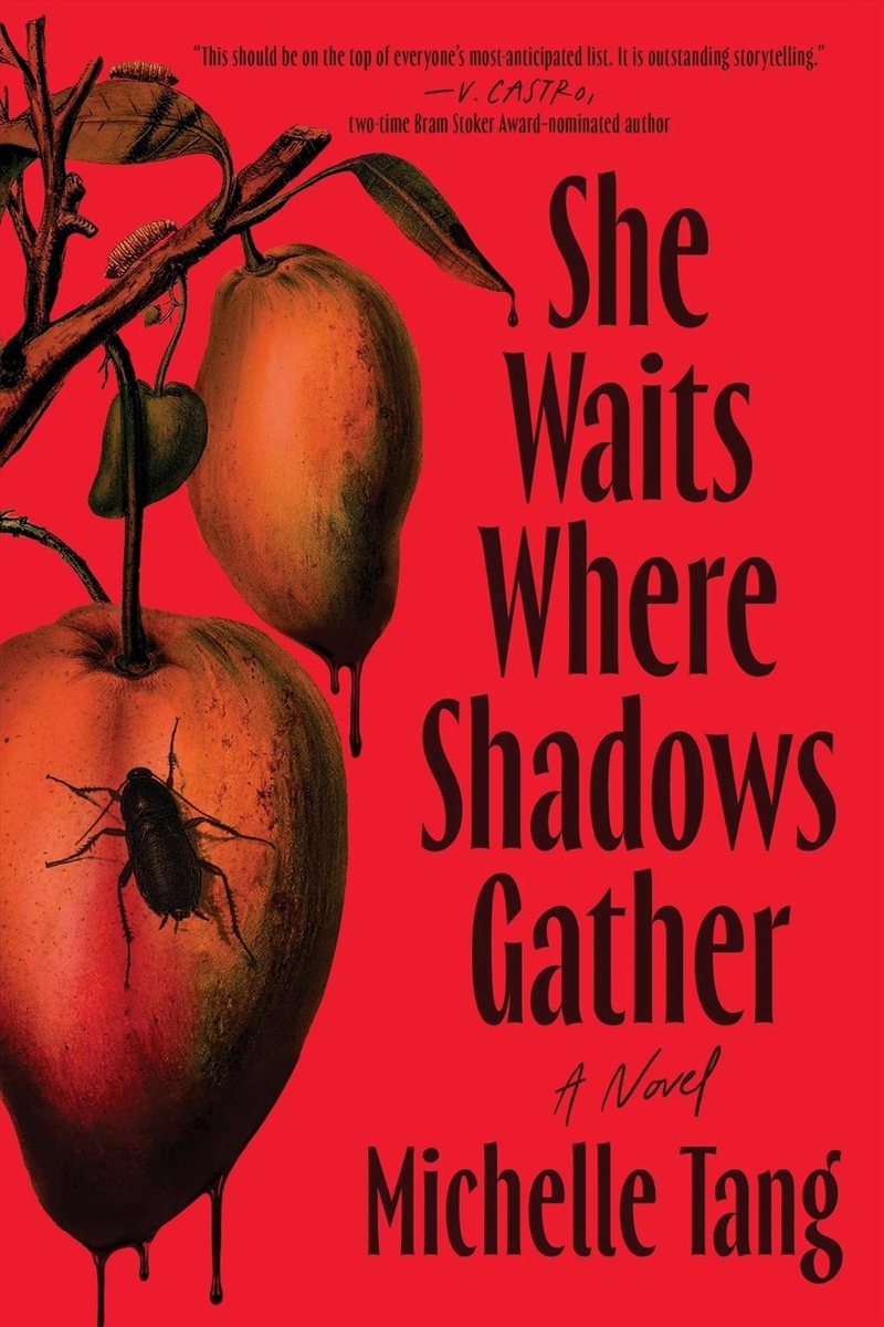 She Waits Where Shadows Gather/Product Detail/Fantasy Fiction