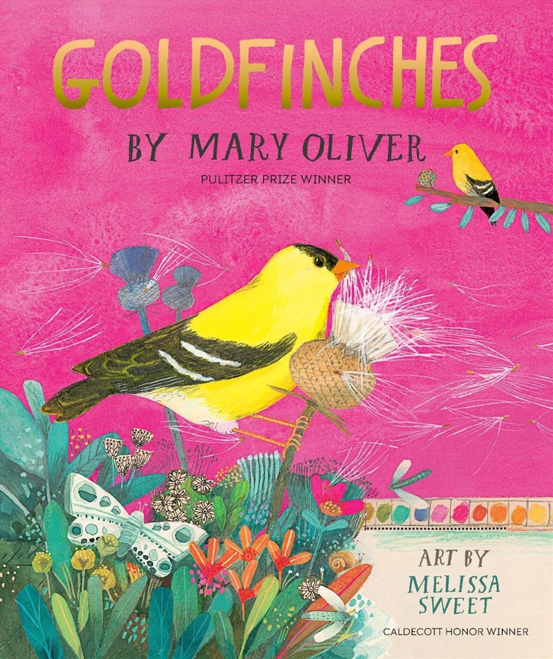 Goldfinches/Product Detail/Childrens Fiction Books