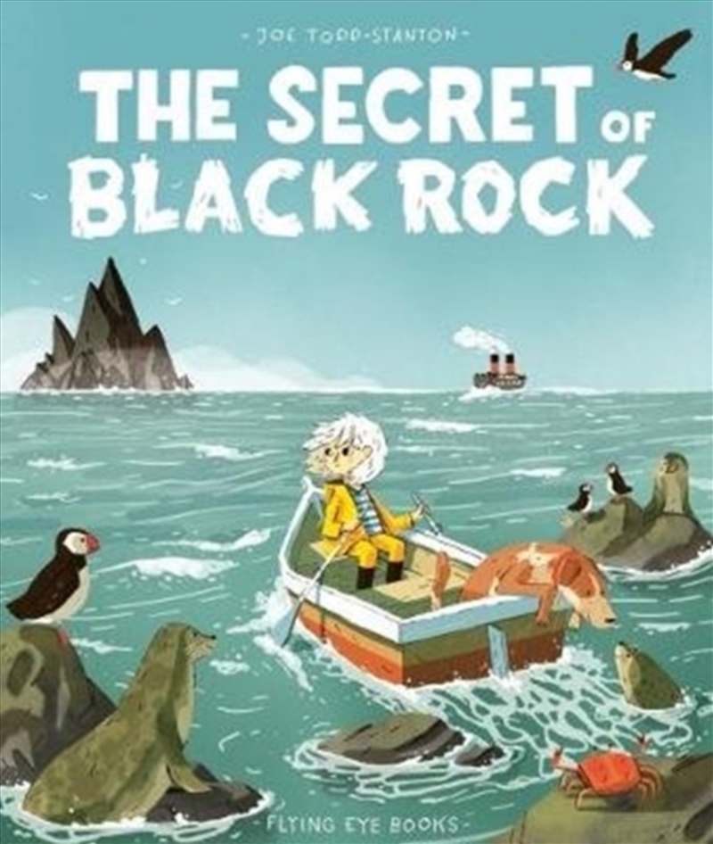 The Secret of Black Rock/Product Detail/Early Childhood Fiction Books