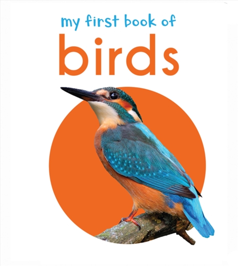 My First Book of Birds : First Board Book/Product Detail/Early Childhood Fiction Books
