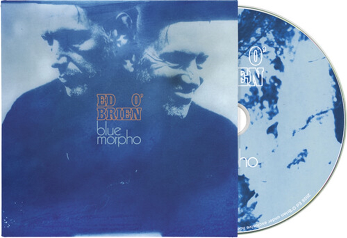 Blue Morpho/Product Detail/Rock/Pop